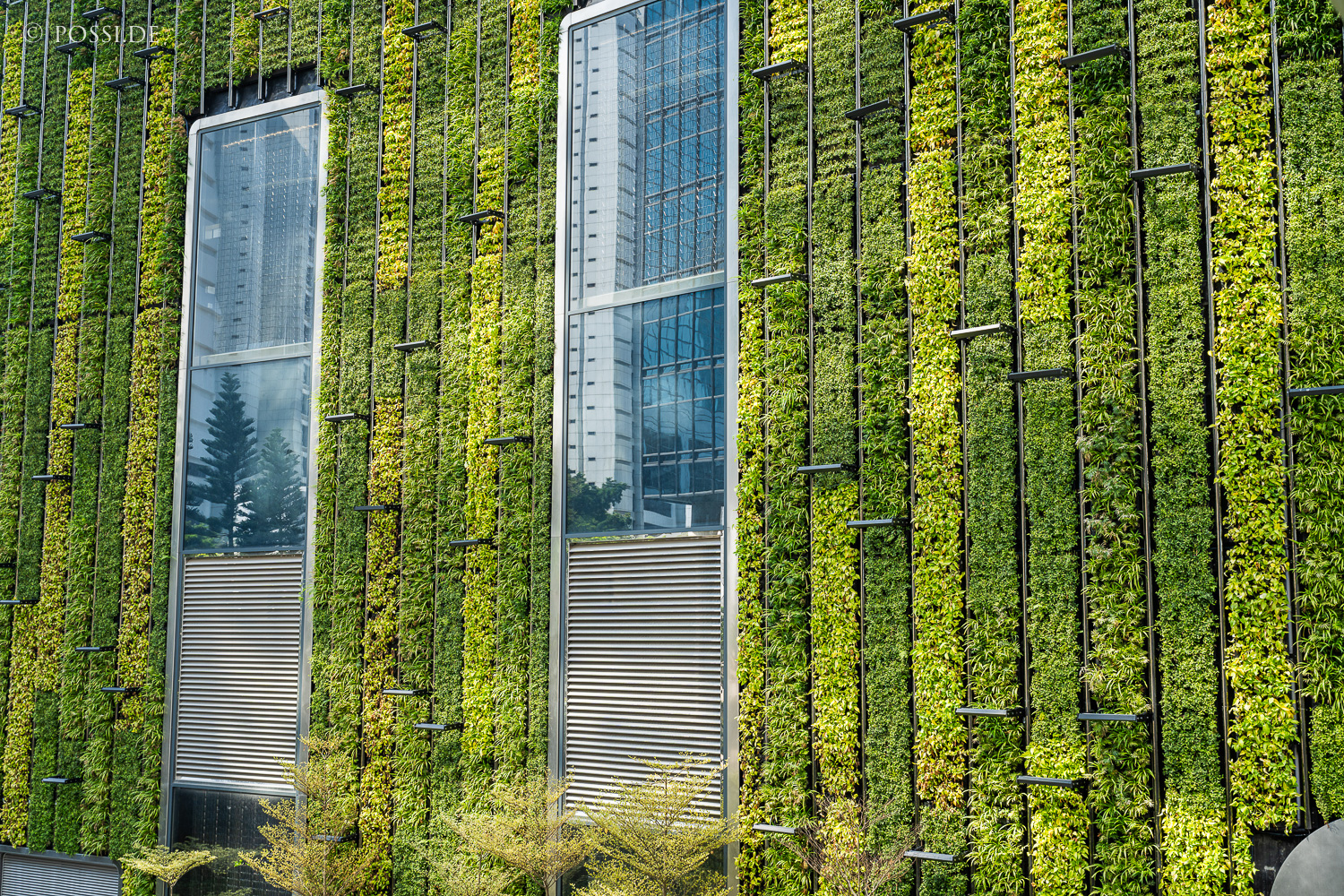 Das Bild zeigt eine moderne Gebäudefassade, die mit grünen Pflanzen überzogen ist und einen urbanen Charakter ausstrahlt. (08.04.2025)