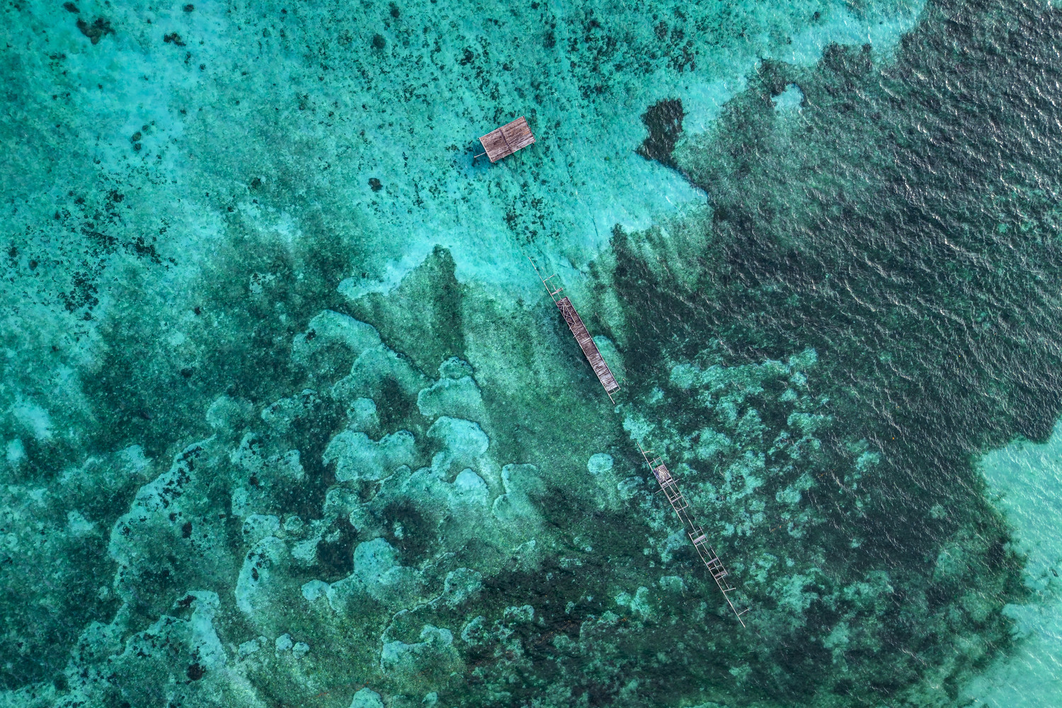Luftaufnahme hölzerner Fischfallen und eines Floßes über einem Riff in türkisfarbenem Wasser. West Papua 2025. (06.10.2025)