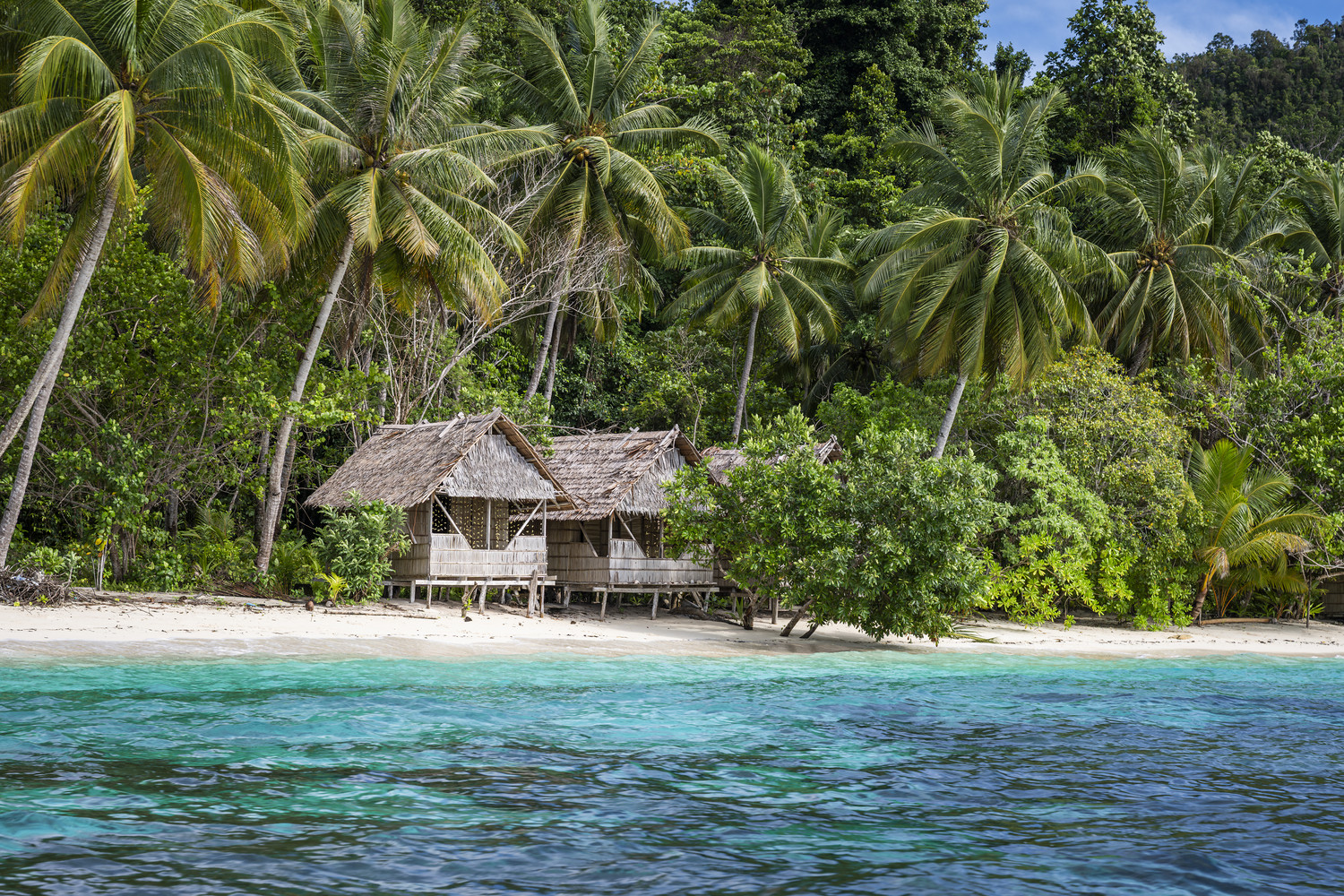 Traditionelle Pfahlhäuser mit Palmblattdächern stehen an einem weißen Sandstrand zwischen Kokospalmen und dichtem Tropenwald, davor türkisfarbenes Meer. West Papua 2025. (11.10.2025)
