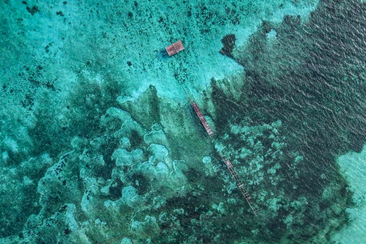Luftaufnahme hölzerner Fischfallen und eines Floßes über einem Riff in türkisfarbenem Wasser. West Papua 2025. (06.10.2025)