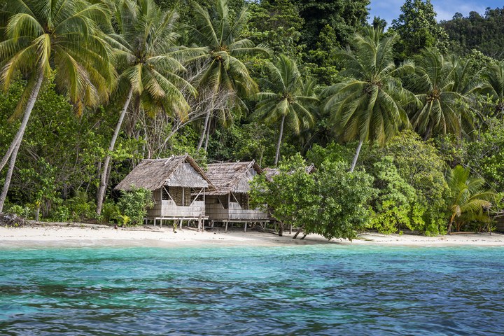 Traditionelle Pfahlhäuser mit Palmblattdächern stehen an einem weißen Sandstrand zwischen Kokospalmen und dichtem Tropenwald, davor türkisfarbenes Meer. West Papua 2025. (11.10.2025)